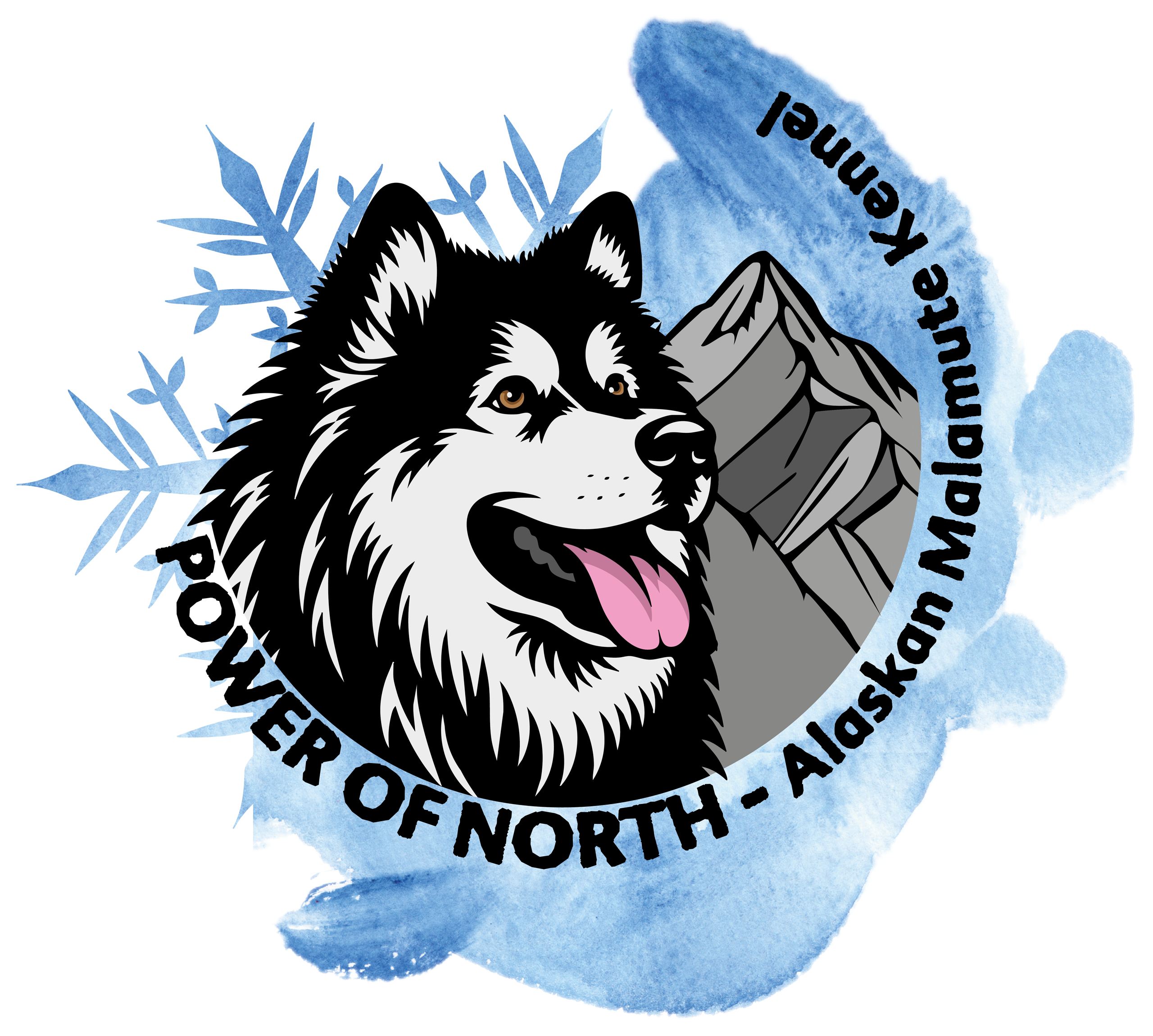 Power of North